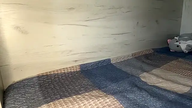 BlinkingDross webcam