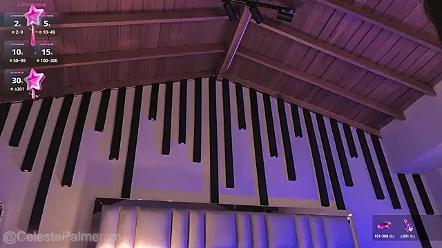 CelestePalmer_ webcam