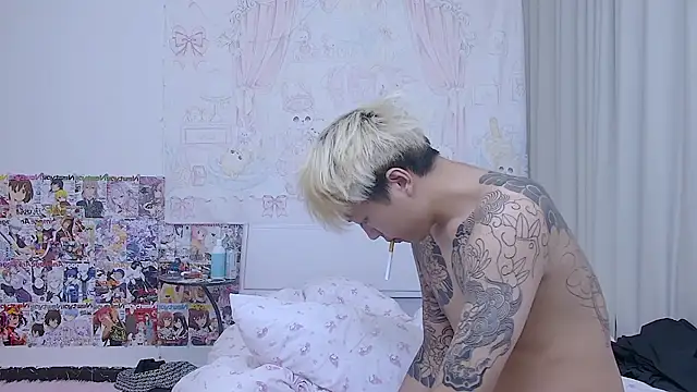 Chocolates-001 webcam