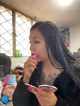 Model: SALOME_KORLAND