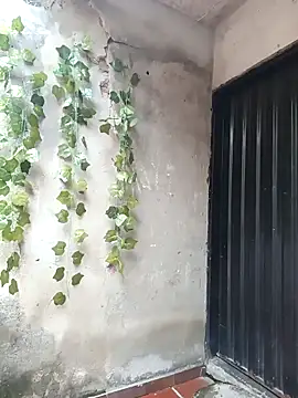 Camilatinass_ webcam