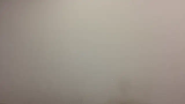 TanjaBrounson webcam