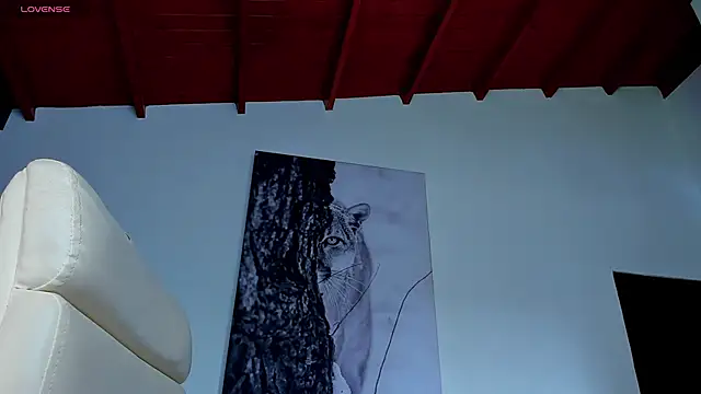 Santos_ramirez1 webcam