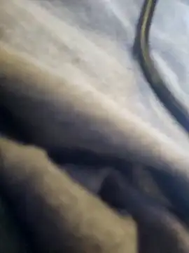 yourMasterisBored webcam