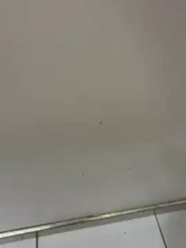 blake0227 (M young) - 野裸