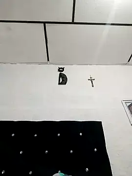 ElizabethWeil webcam