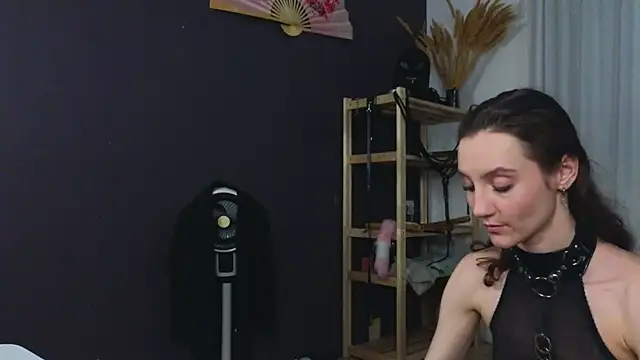 laracroftmansion webcam