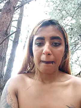 sophia_forest webcam