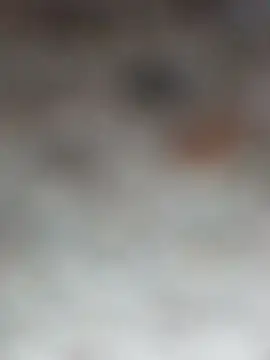 shreya_pandit (F young) - #anal #anal-doggy-style #anal-fingering #anal-indian #anal-petite #anal-young #brunettes #brunettes-petite #brunettes-young #cam2cam #cheapest-privates #cheapest-privates-indian #cheapest-privates-young #doggy-style #fingering #fingering-indian #fingering-young #hd #indian #indian-young #mobile #mobile-young #most-affordable-cam2cam #petite #petite-indian #petite-young #young