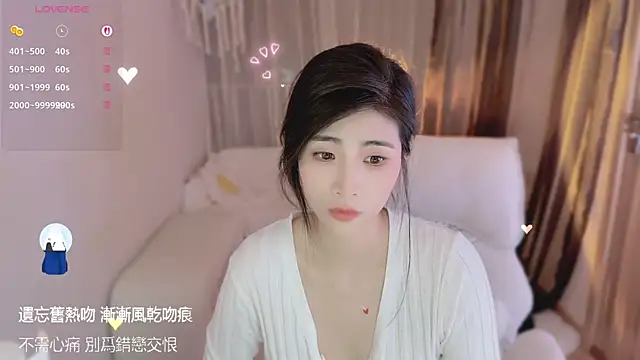 Vaidurya-Yolo webcam