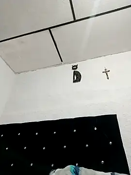 ElizabethWeil webcam