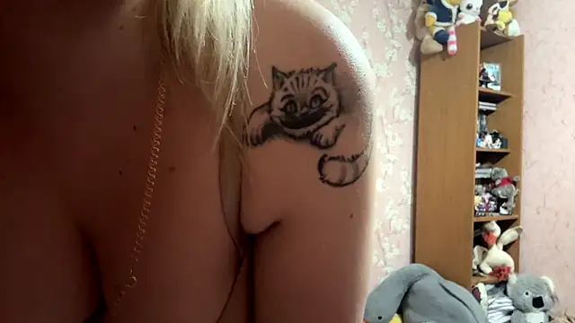 LiraDreamX webcam