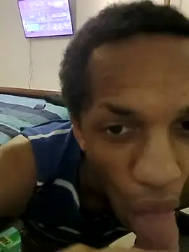 AlphaPremiere webcam