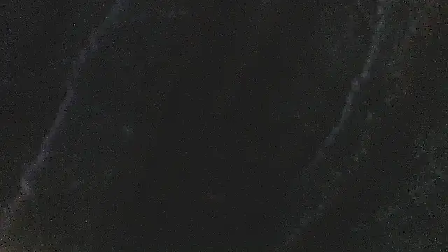 Preview of studlyhardwoodd