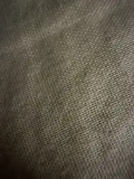 美女Yni77在线直播