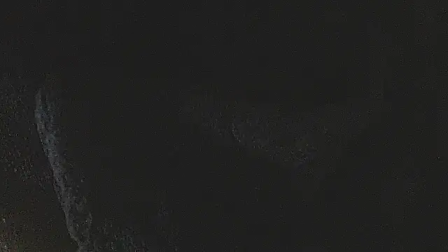 studlyhardwoodd webcam