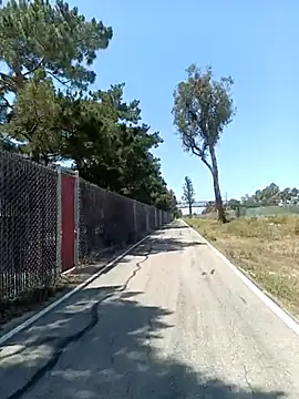 exhibitionistmale webcam