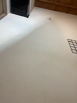 Webcam Model (GiaValenti)  is live.Free join now!