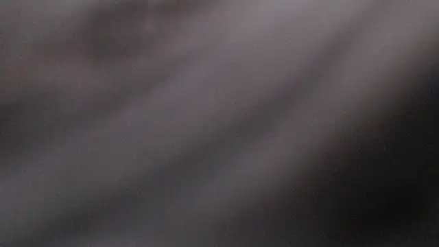 SammyAlexxandra webcam