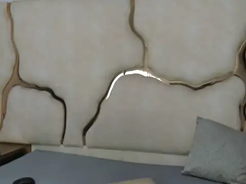 AuroraHoney32 webcam