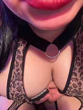 veyolla_betsh webcam