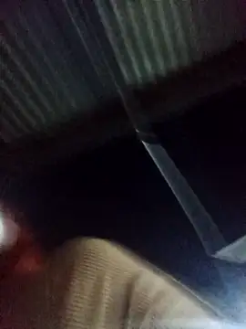 HipsDontLieX95 webcam