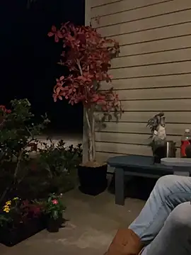 countrypnp13 (Ask my age) - New interactive toy