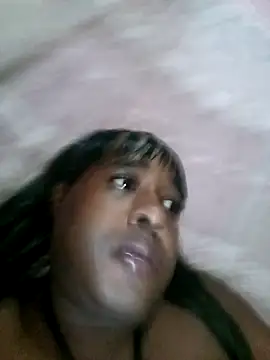 Hellentrans24 webcam