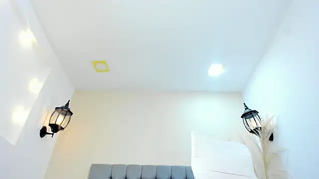 _sussan_miller webcam