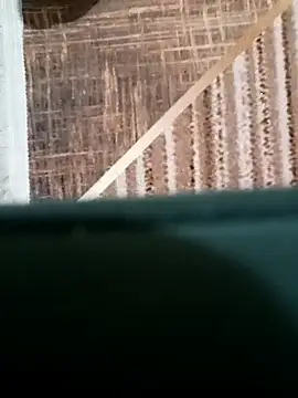 EgyptianHorse webcam