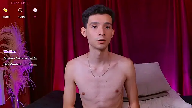 VicenteFerrer webcam