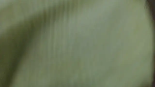 cherry_modelx_ webcam