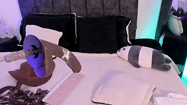 Taylormaxwell webcam