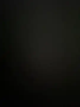 BatchedTracer webcam