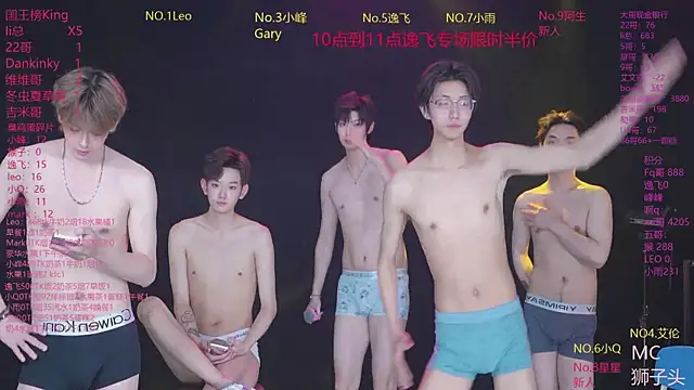 AAA-winner webcam