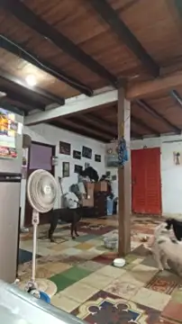 ChanneldelaCroix webcam