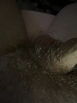 TripleSitdown webcam