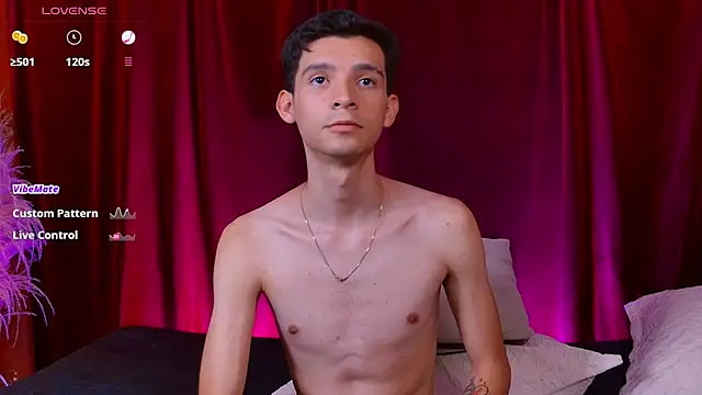 VicenteFerrer webcam