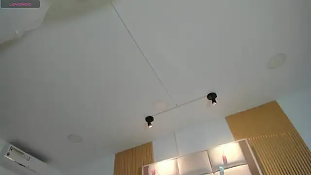 Taylor_Royal_ webcam