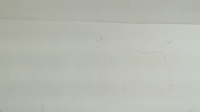 brant_garciabbc webcam