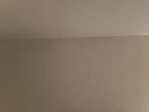 visualizechat webcam