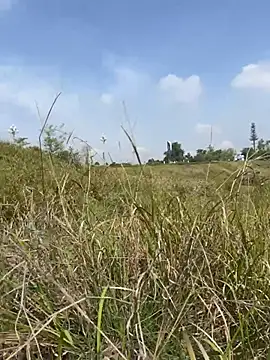 xiaochengzi505 webcam