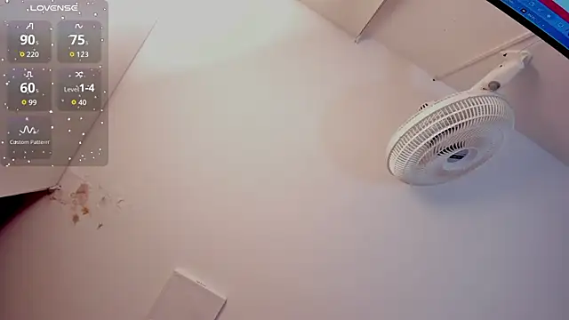 FaloonRoussel webcam