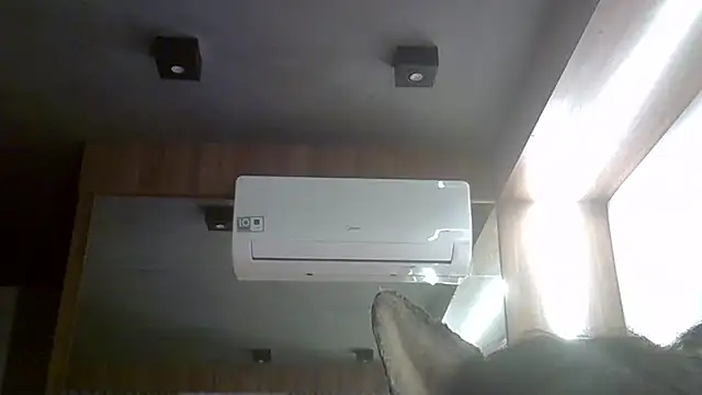SkinnyKitten webcam