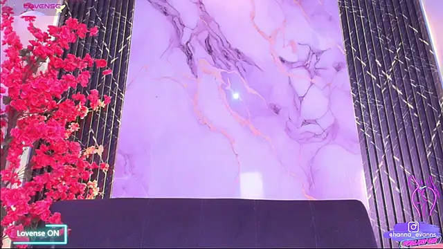 Hanna_Evaanss webcam