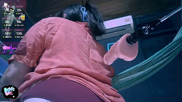 Nicolle_waterfalls webcam