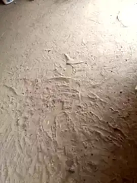 pussyin_monstercock143 webcam