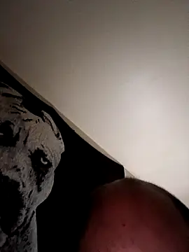 NiceNativeOne2026 webcam