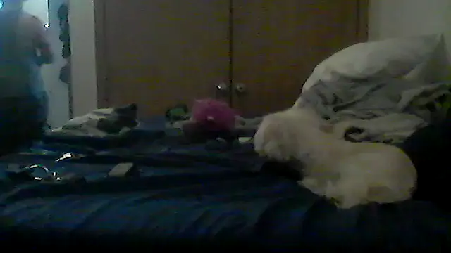 Preview of silencio26