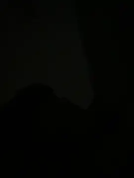 Michaell_Spinelly webcam